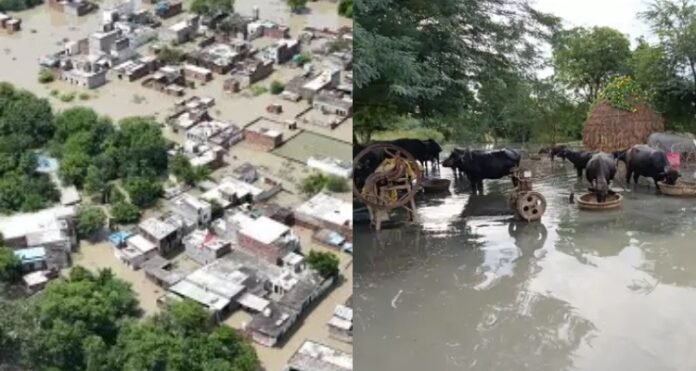 गंगा-यमुना उफान पर