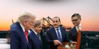 पाकिस्तान ने अमेरिका को अरब सागर में बंदरगाह परियोजना की पेशकश की: रिपोर्ट अरब सागर में अमेरिकी बंदरगाह